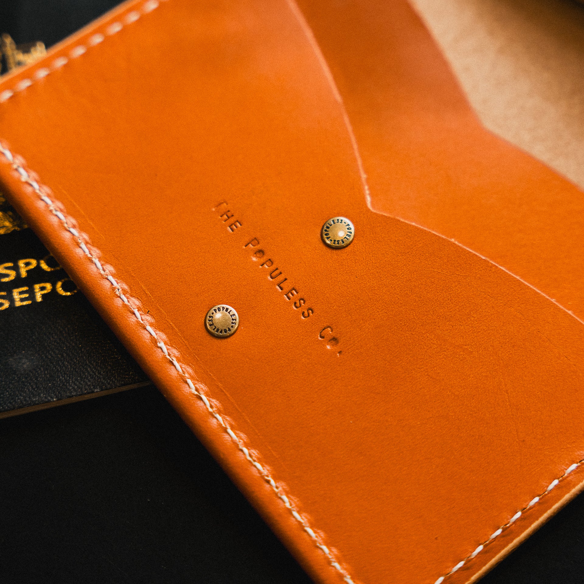 The Atlas - Passport Wallet