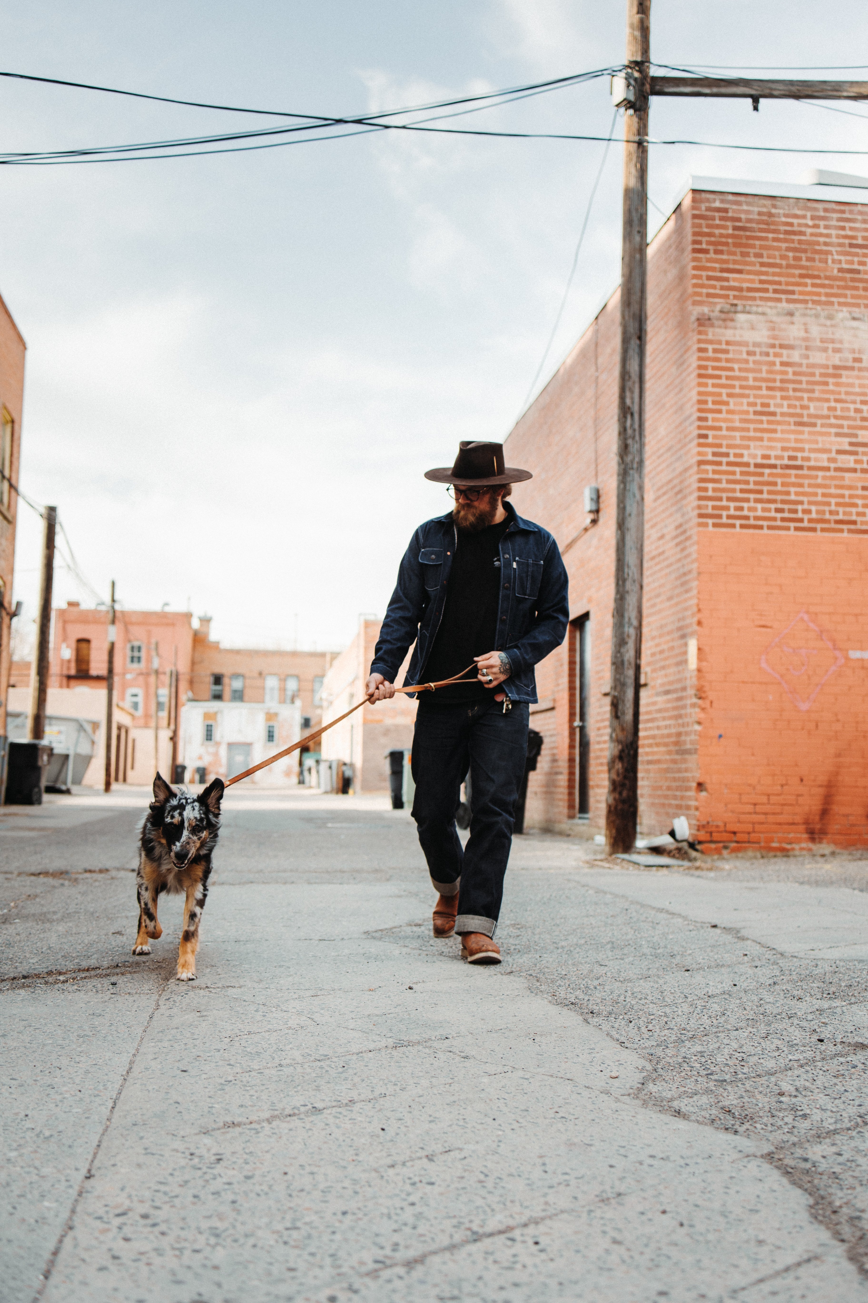 The Jake - Dog Leash - Black