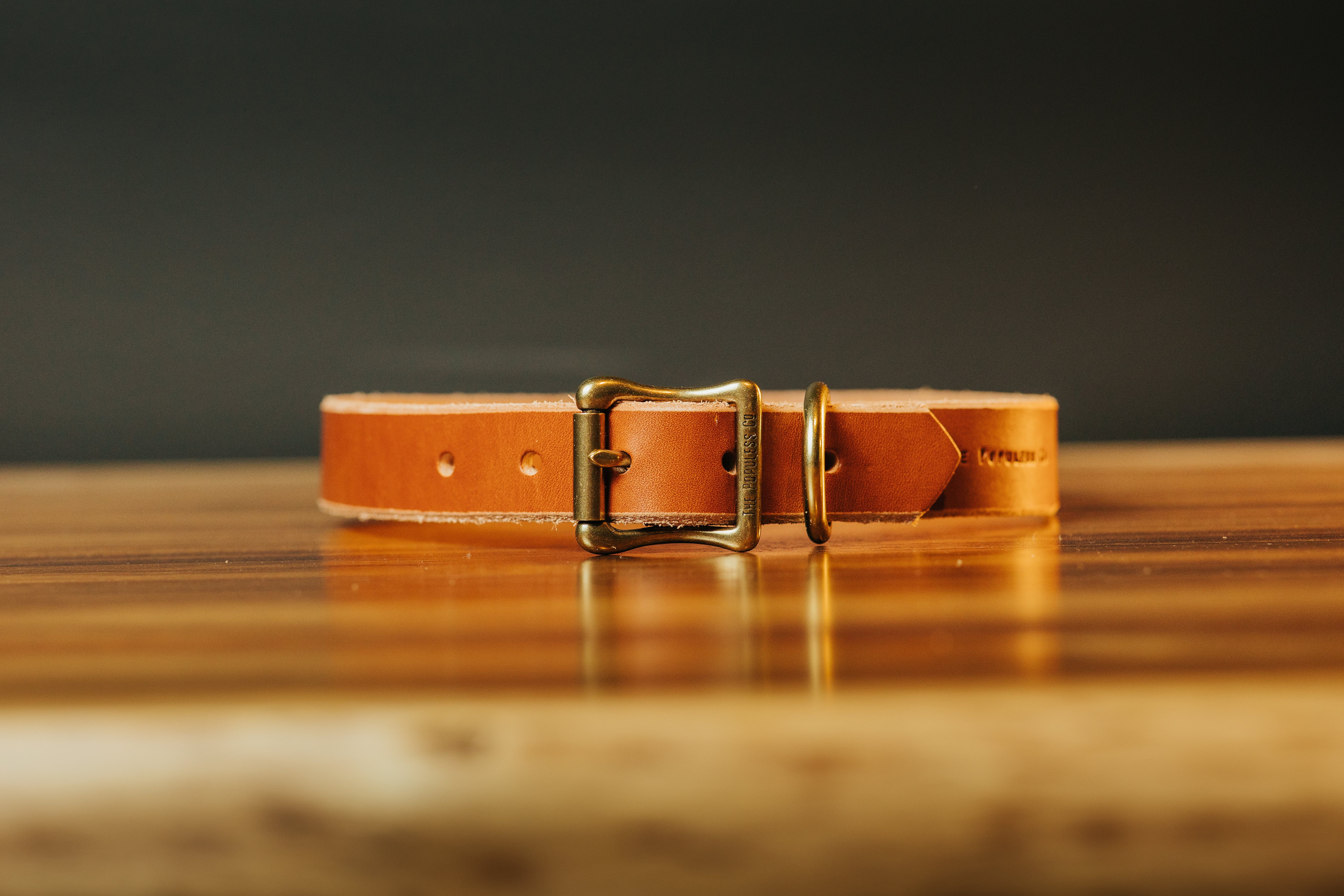 The Marv - Dog Collar - Rio Latigo