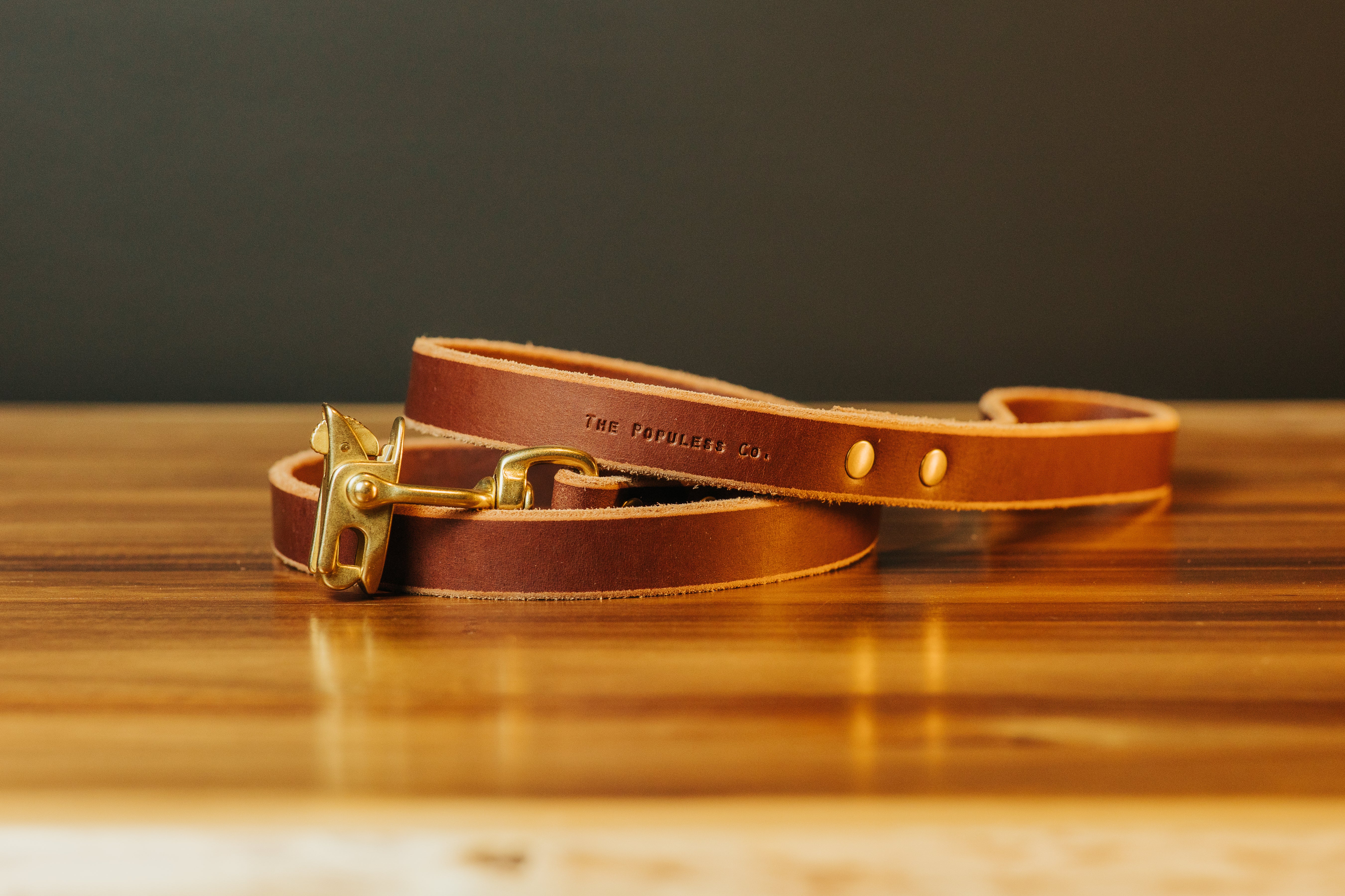 The Jake - Dog Leash - Brown