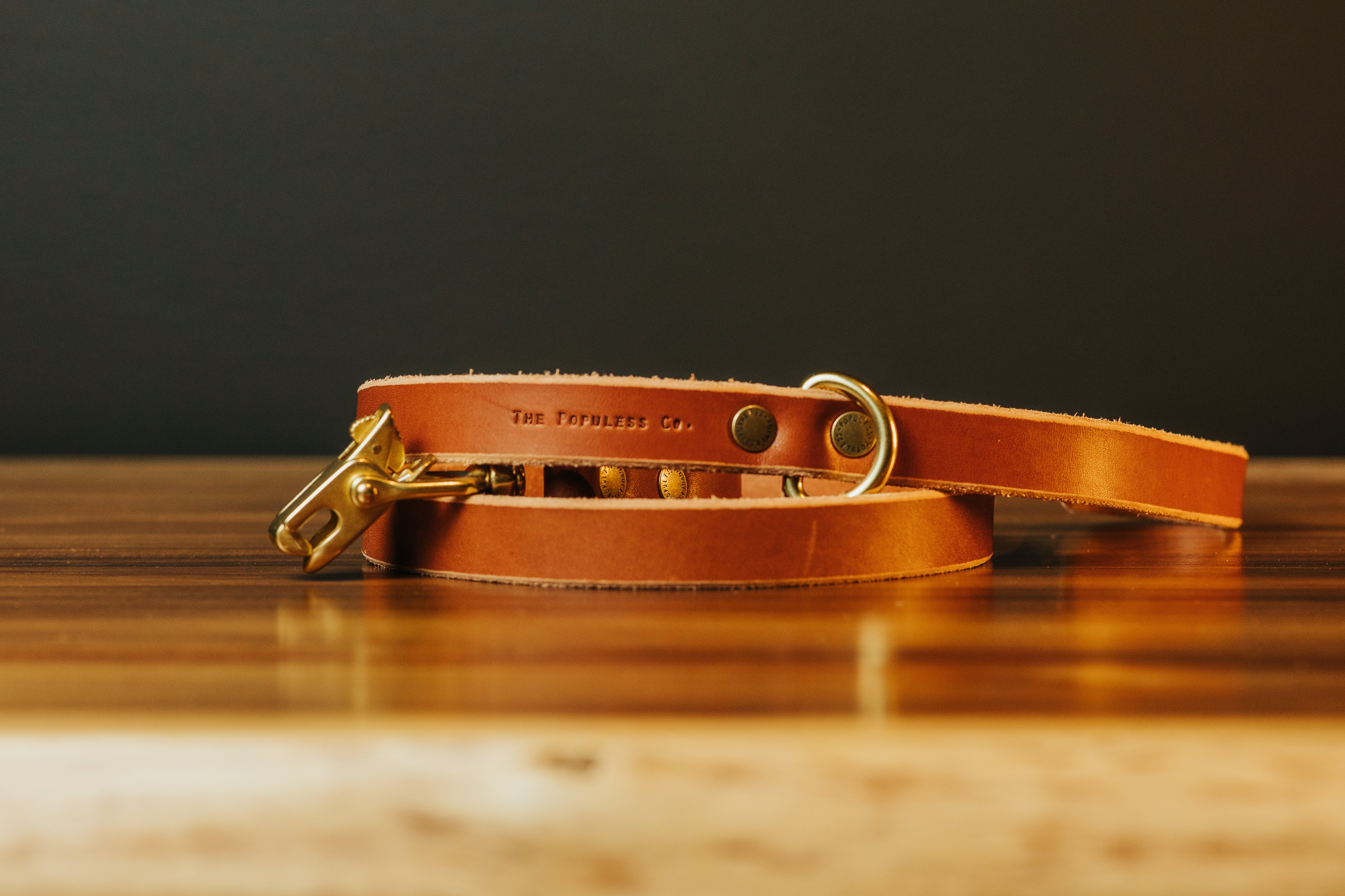 The Jake - Dog Leash - Rio Latigo