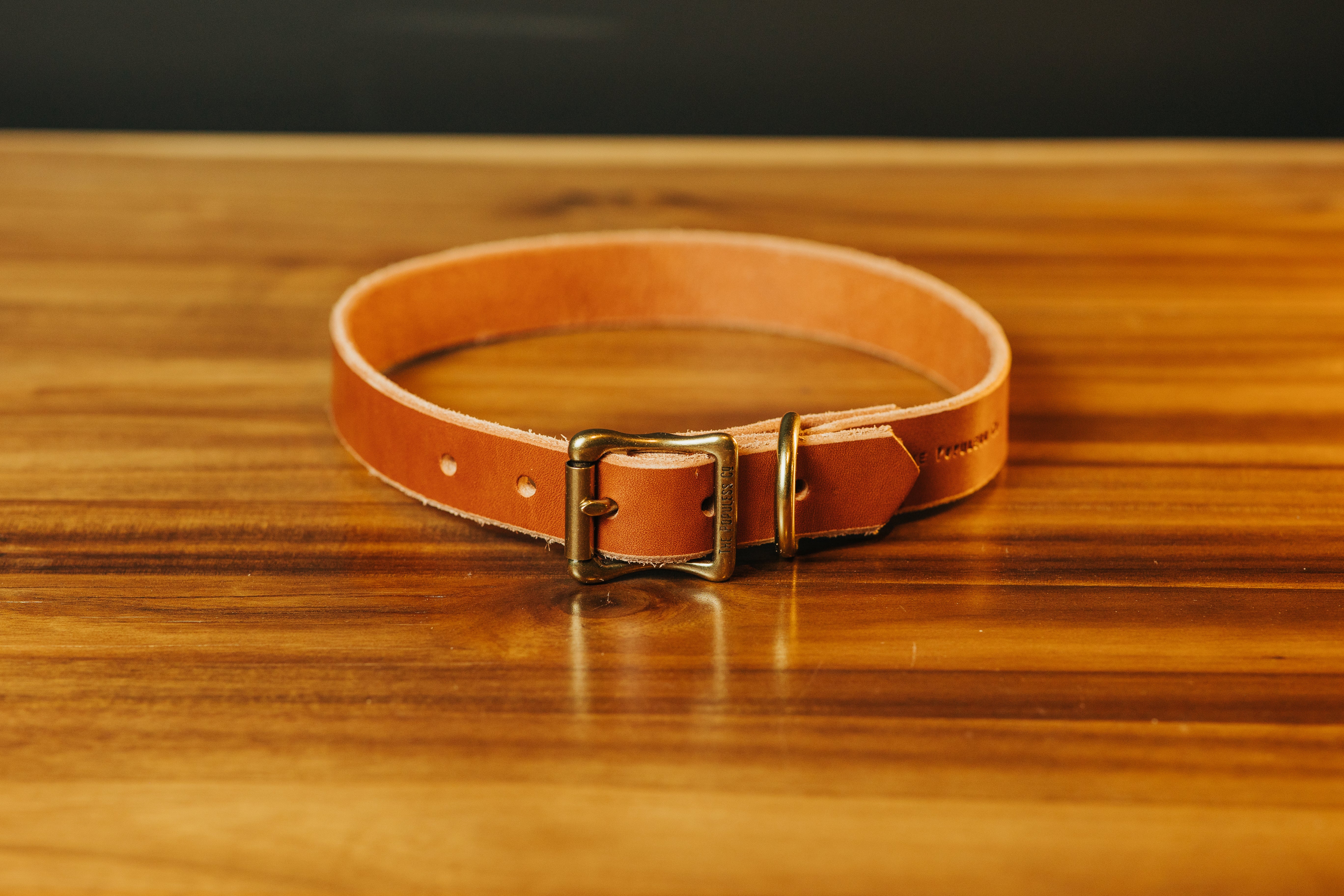 The Marv - Dog Collar - Rio Latigo