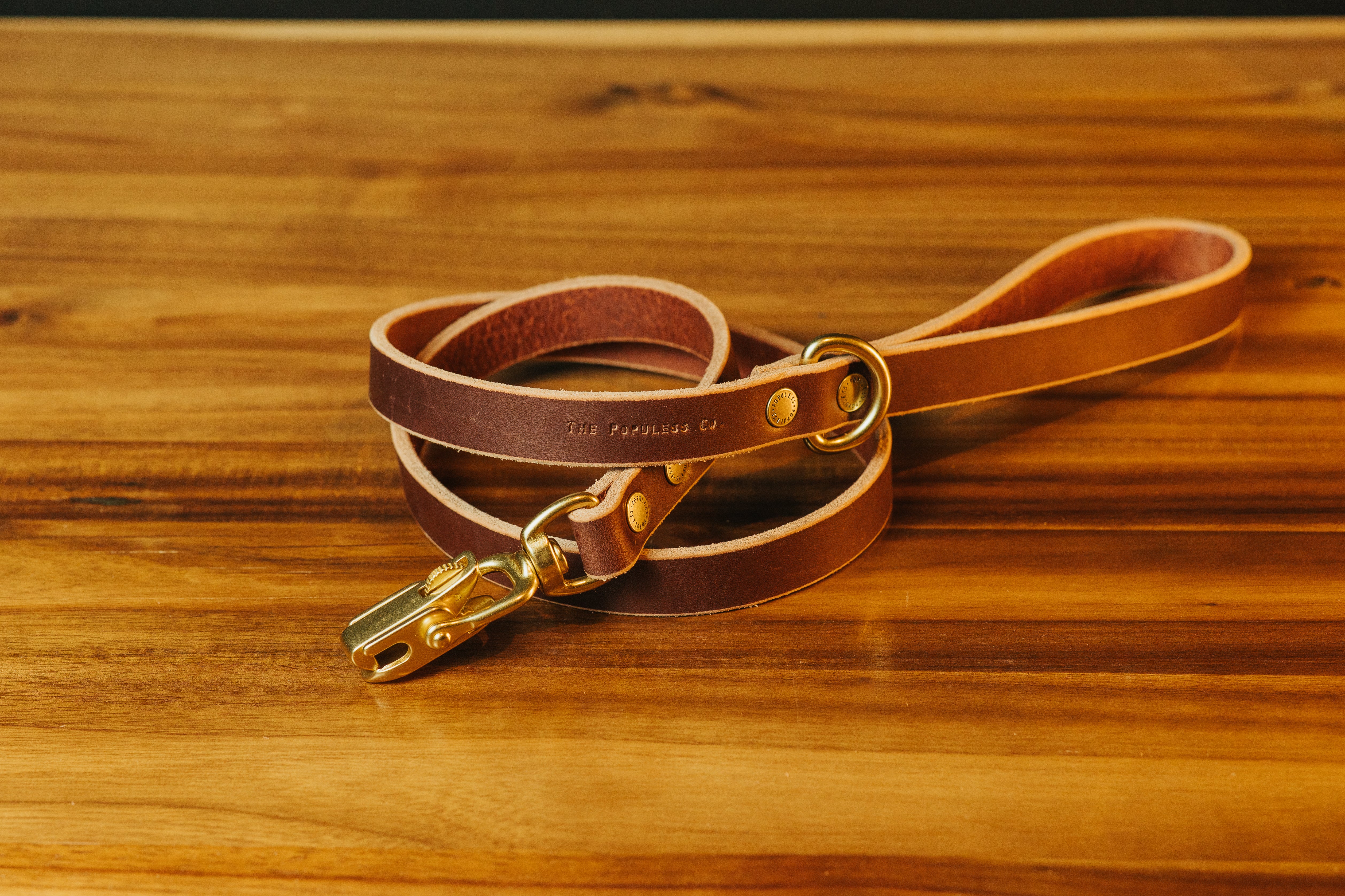 The Jake - Dog Leash - Brown