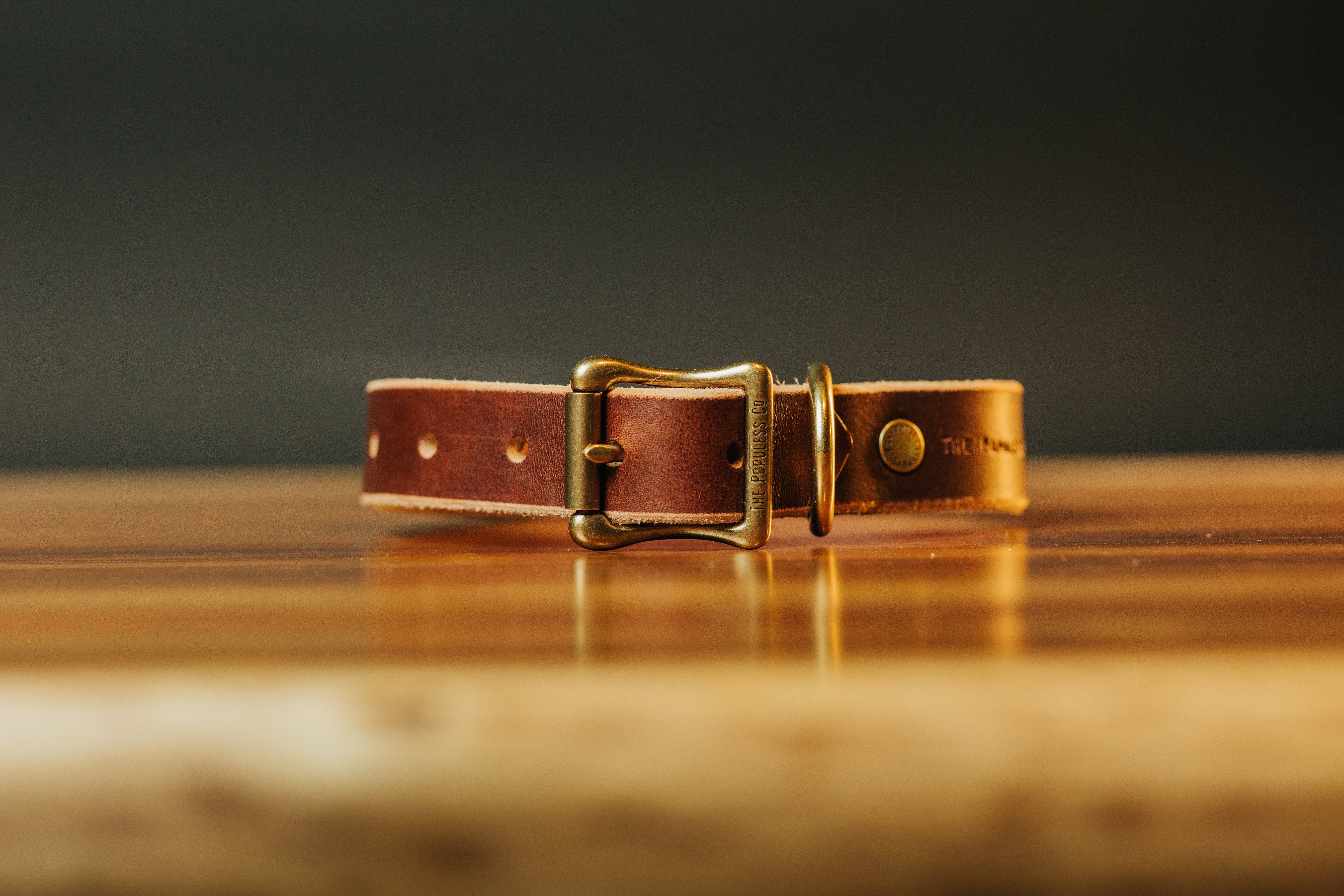 The Marv - Dog Collar - Brown