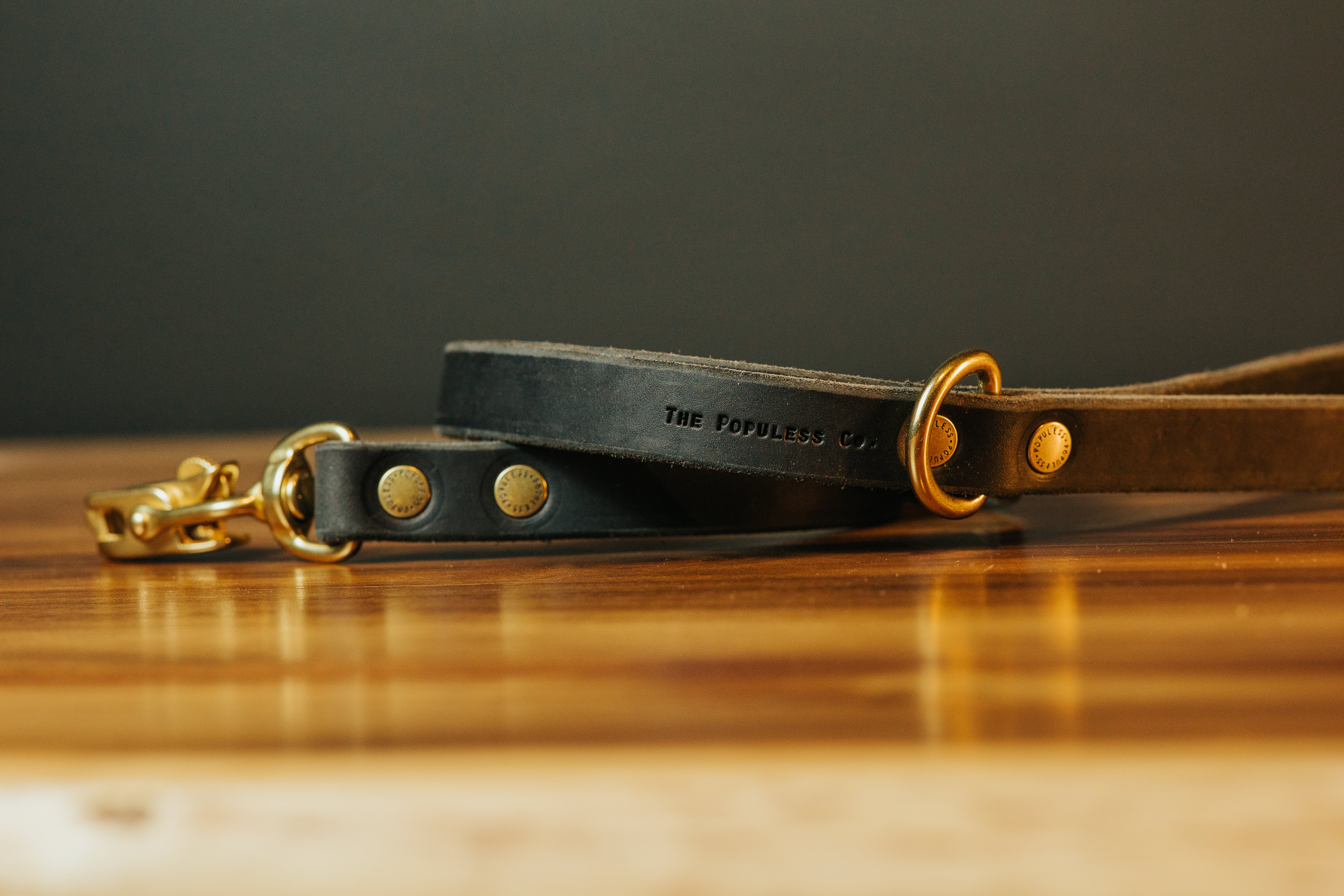 The Jake - Dog Leash - Black