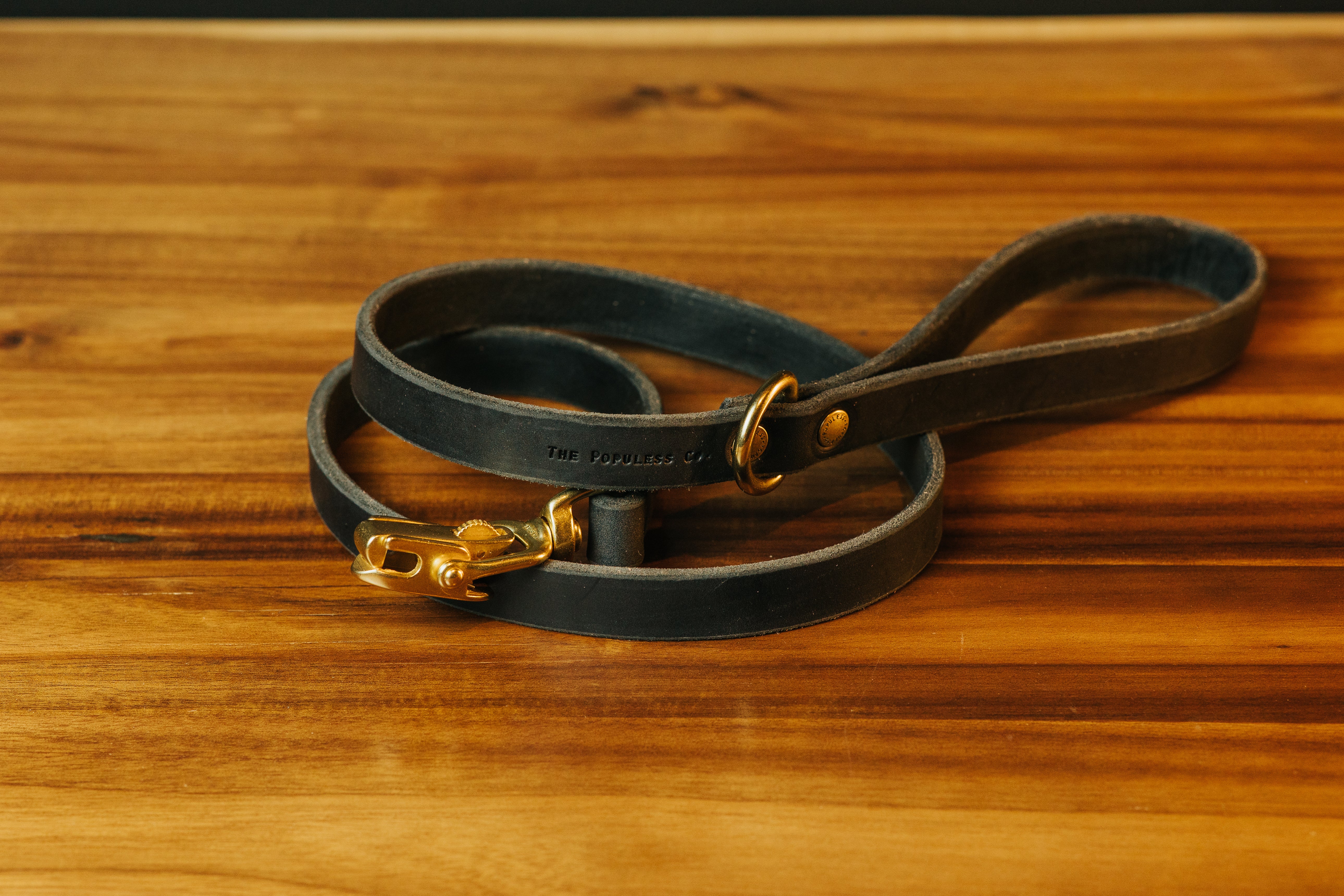 The Jake - Dog Leash - Black