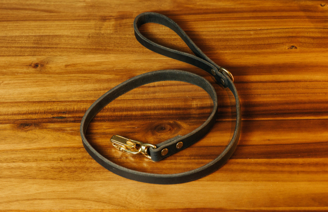 The Jake - Dog Leash - Black