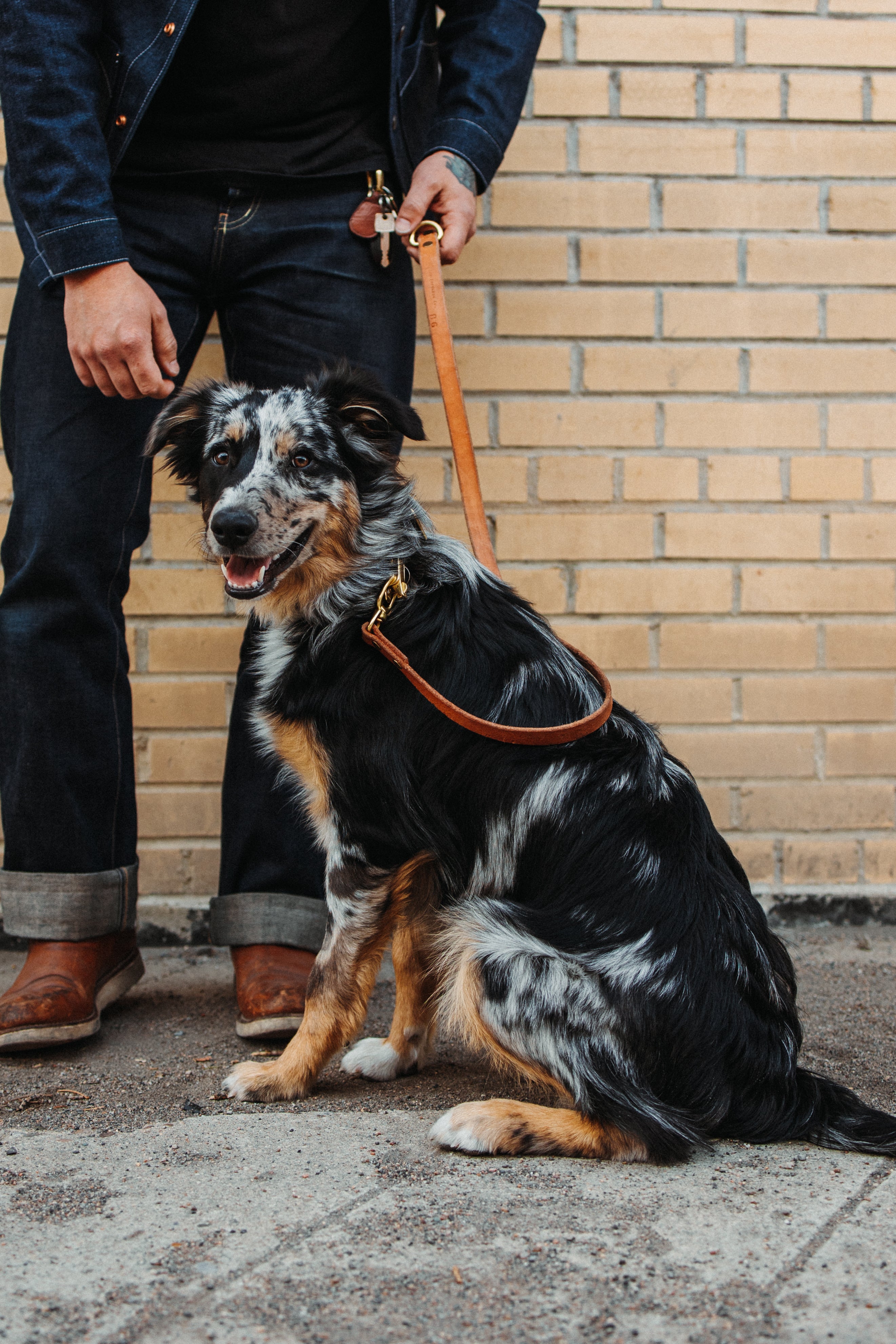 The Jake - Dog Leash - Black