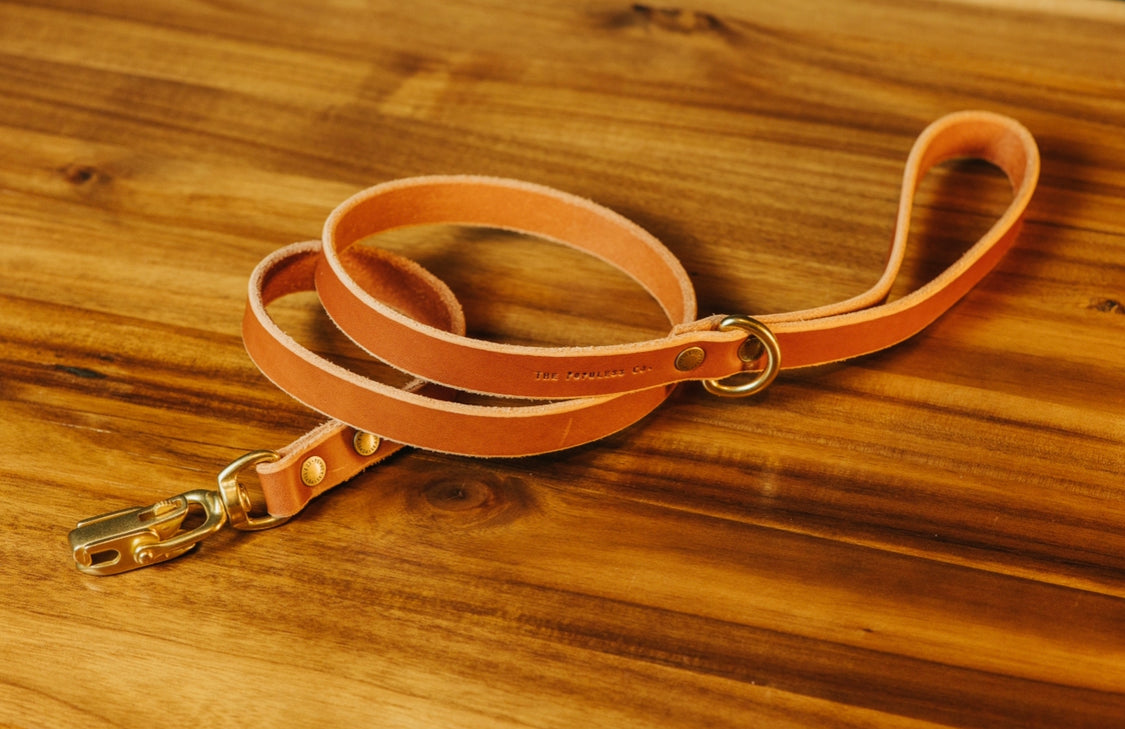 The Jake - Dog Leash - Rio Latigo