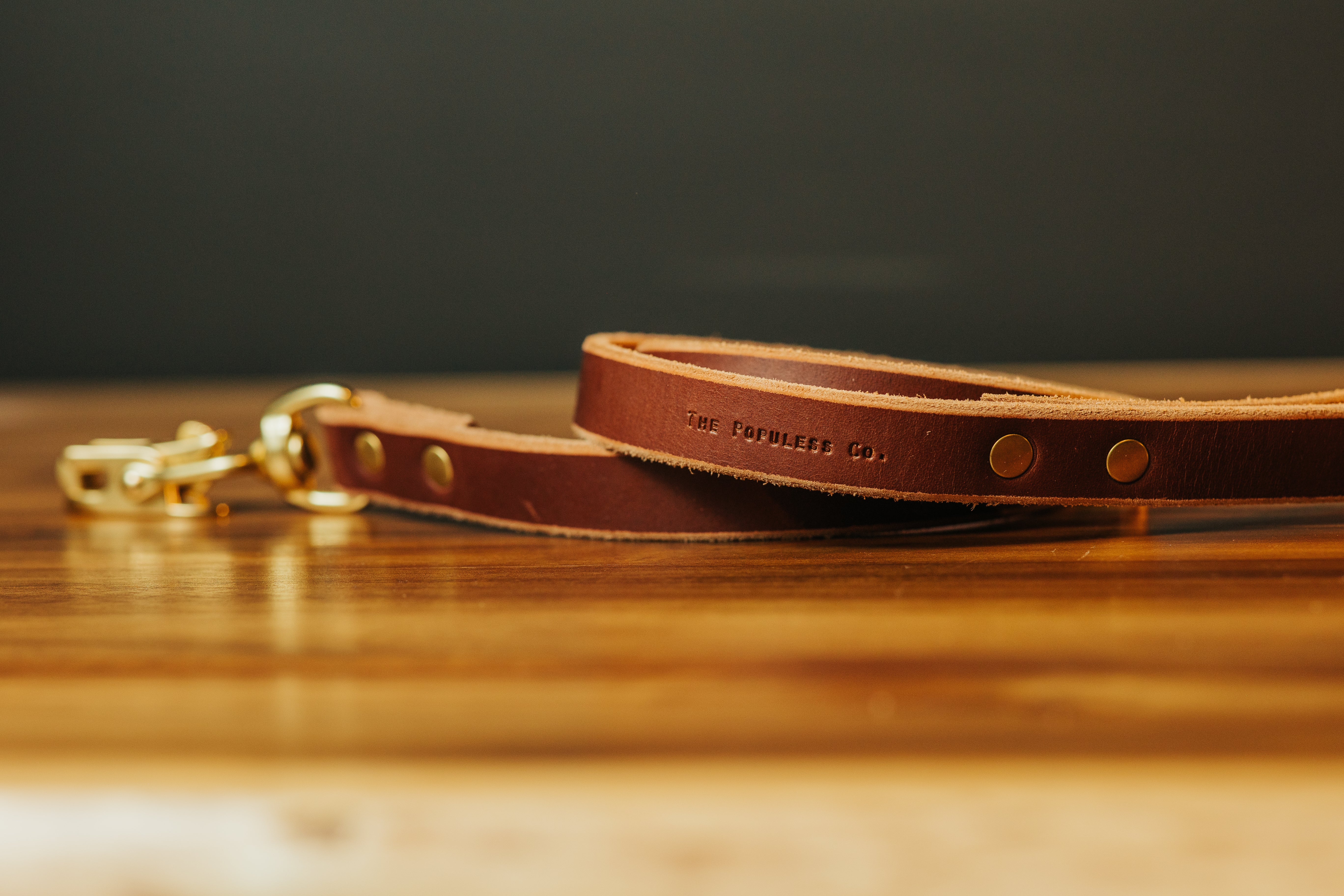 The Jake - Dog Leash - Brown