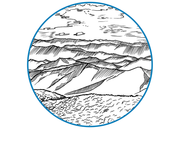 Fulton & Roark - Body Lotion - Blue Ridge