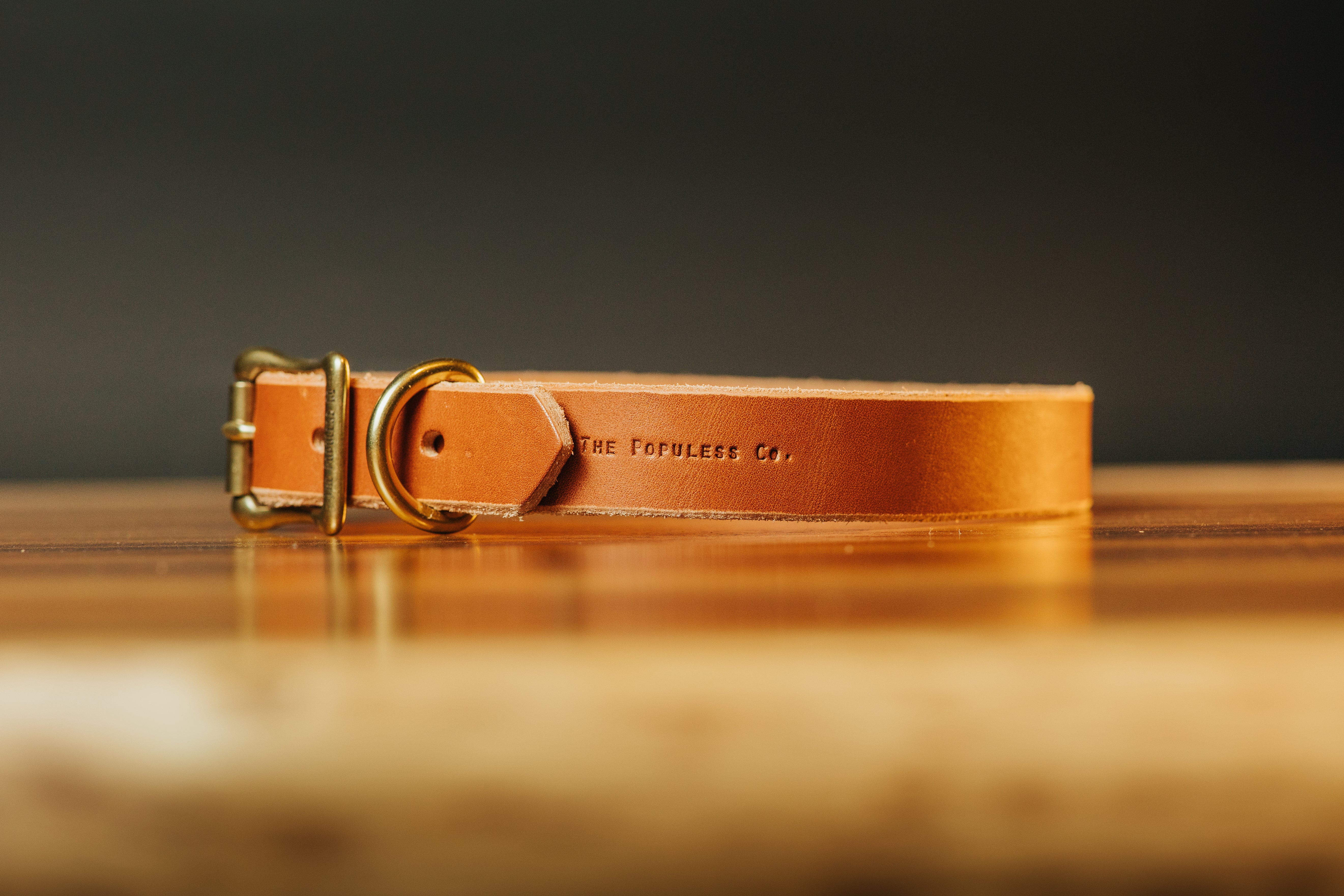 The Marv - Dog Collar - Rio Latigo