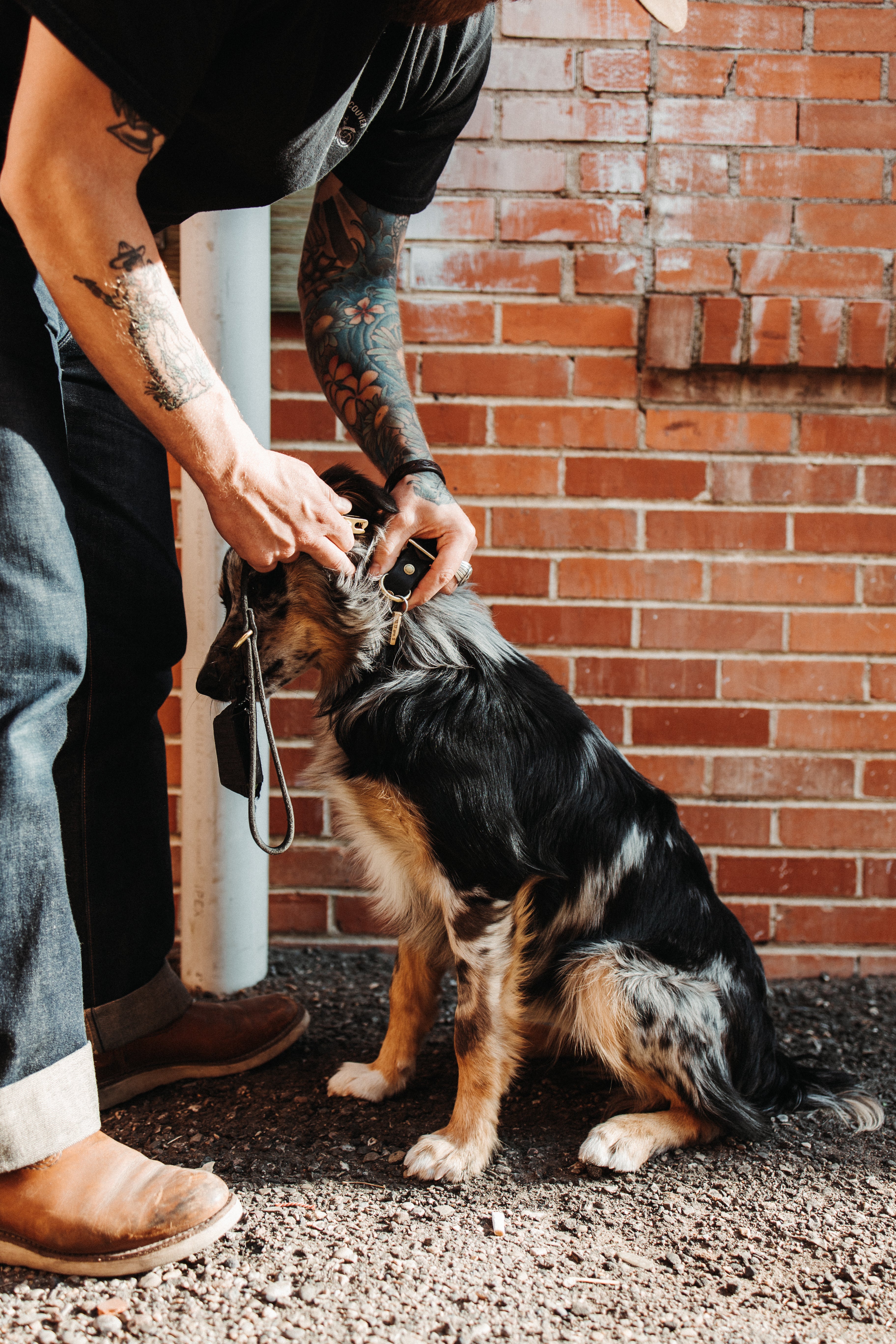 The Gus - Dog Lead - Black