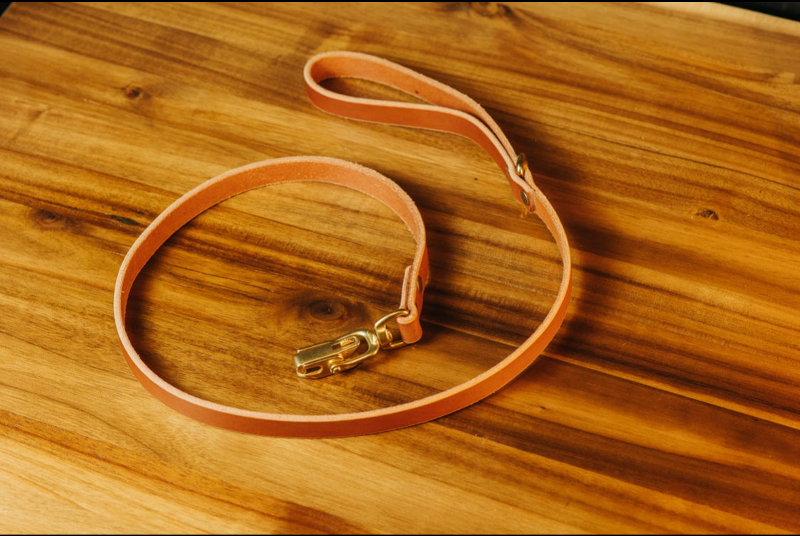 The Jake - Dog Leash - Rio Latigo